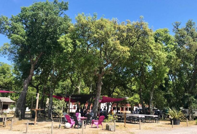 فندق صغير Nouvel Horizon Guest Center Landes