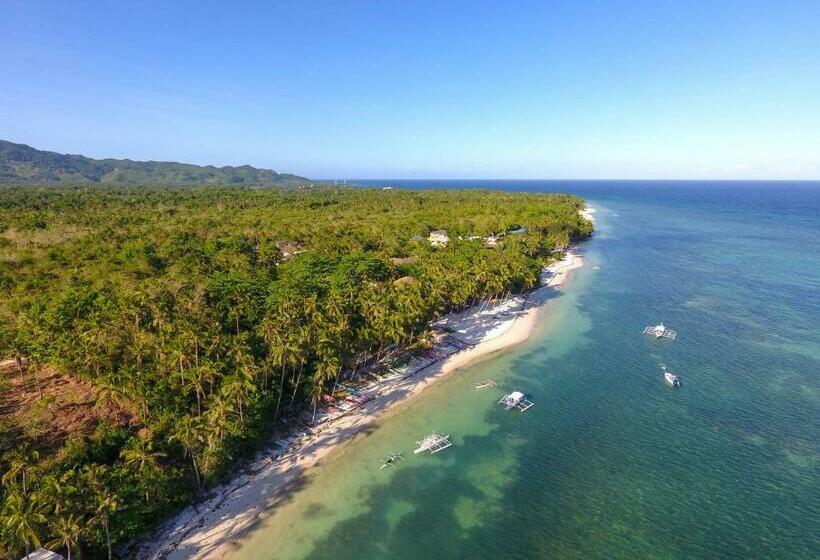 בית מלון כפרי Three Little Birds Resort