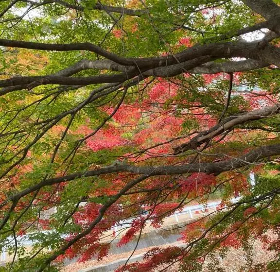 ペンション 花沢民宿