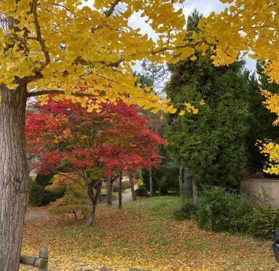 ペンション 花沢民宿