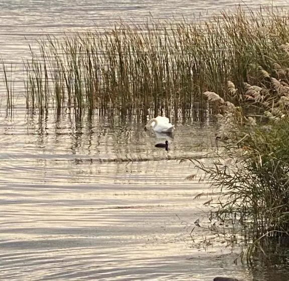 ペンション 花沢民宿