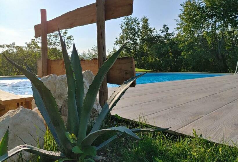 膳宿费 Il Carpino Bianco