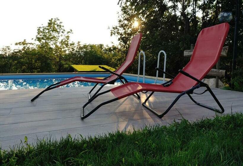 膳宿费 Il Carpino Bianco