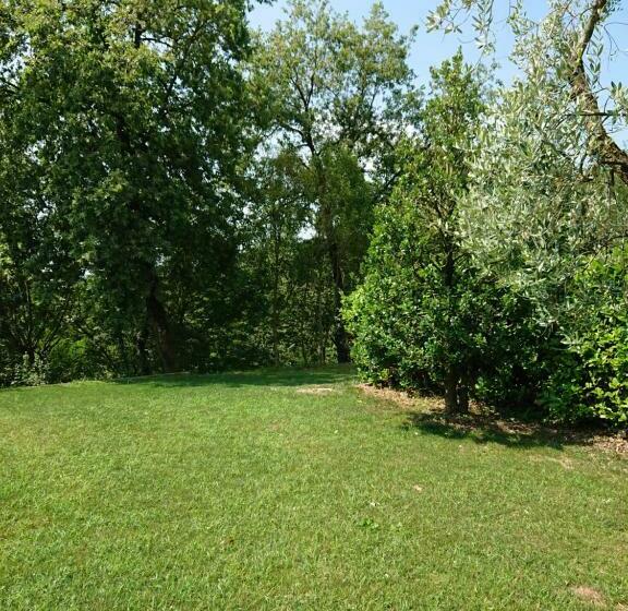 膳宿费 Il Carpino Bianco