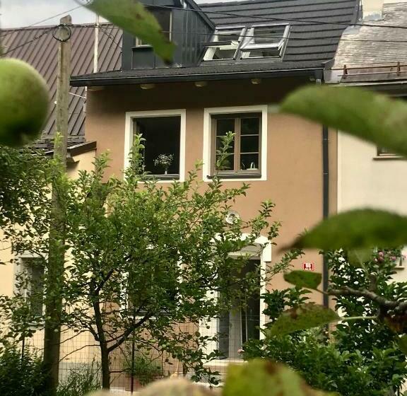 پانسیون The Little Room