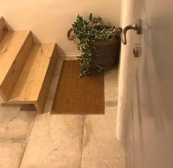 پانسیون The Little Room