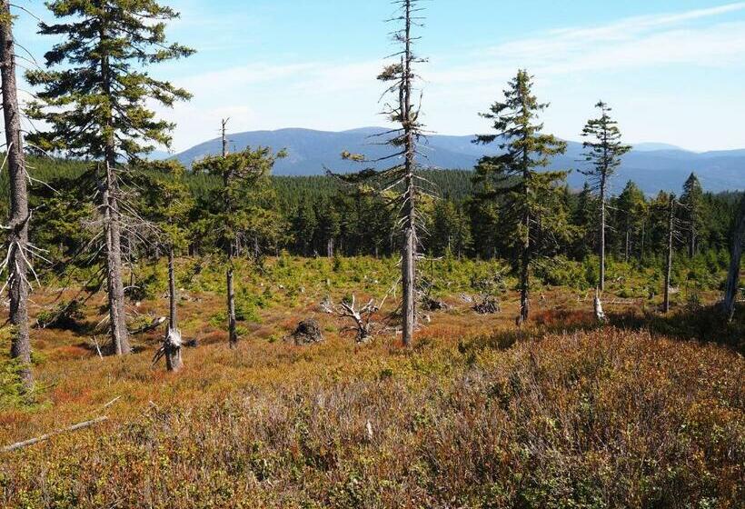 ユースホステル Srub U Lanovky