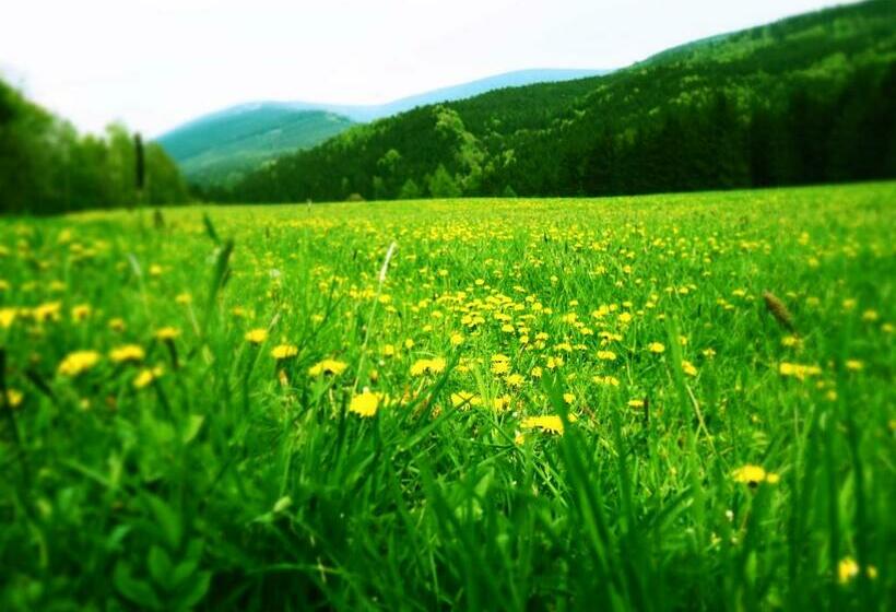 ユースホステル Srub U Lanovky