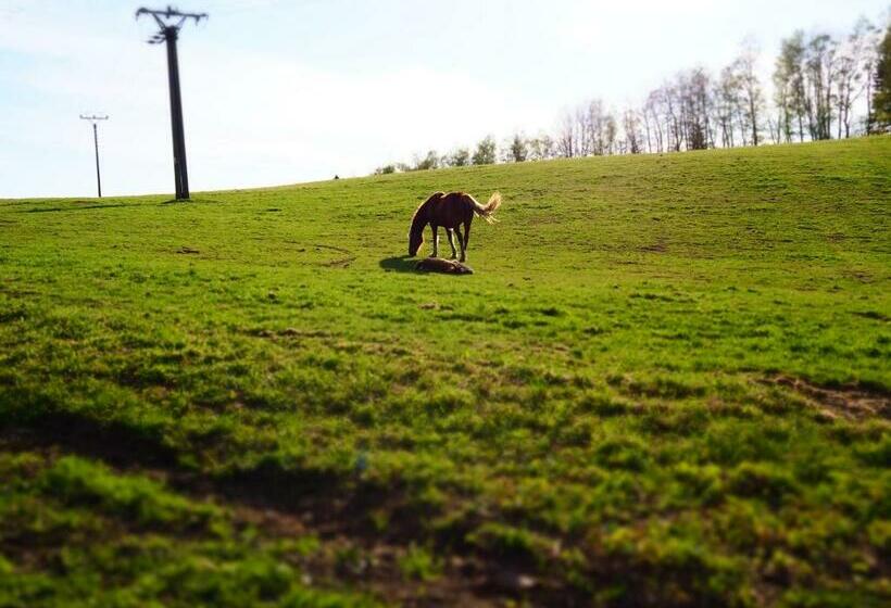 ユースホステル Srub U Lanovky