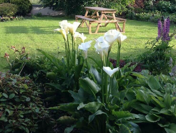 Bed and Breakfast Hillview House