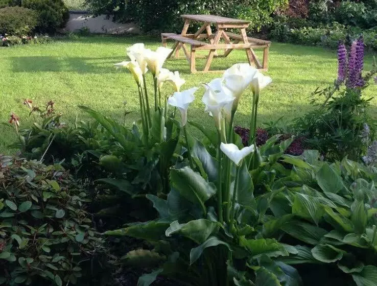 Aamiaismajoitus (B&B) Hillview House