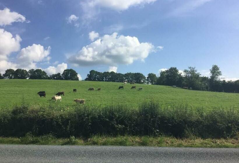 Bed and Breakfast Hillview House