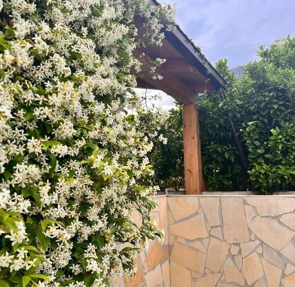 צימר Le Tre Rose