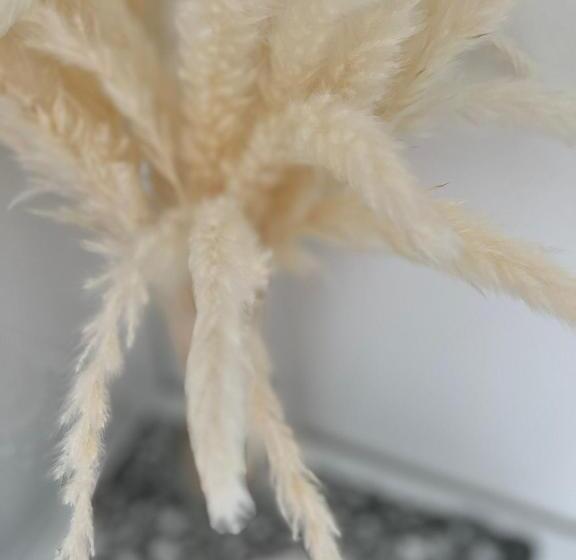 צימר Le Tre Rose