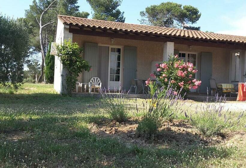 Пансион Clair De Lune