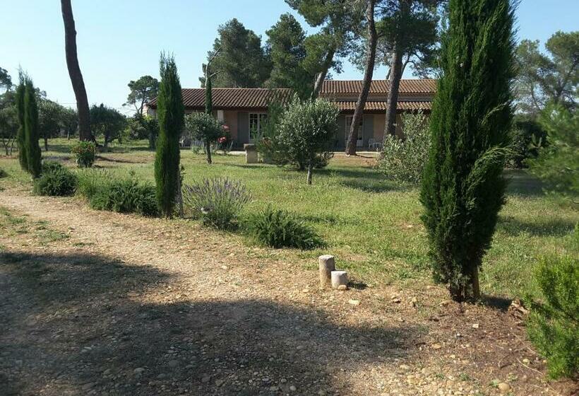 Пансион Clair De Lune