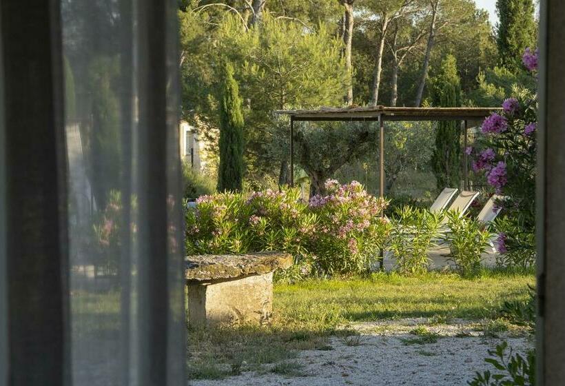 Пансион Clair De Lune