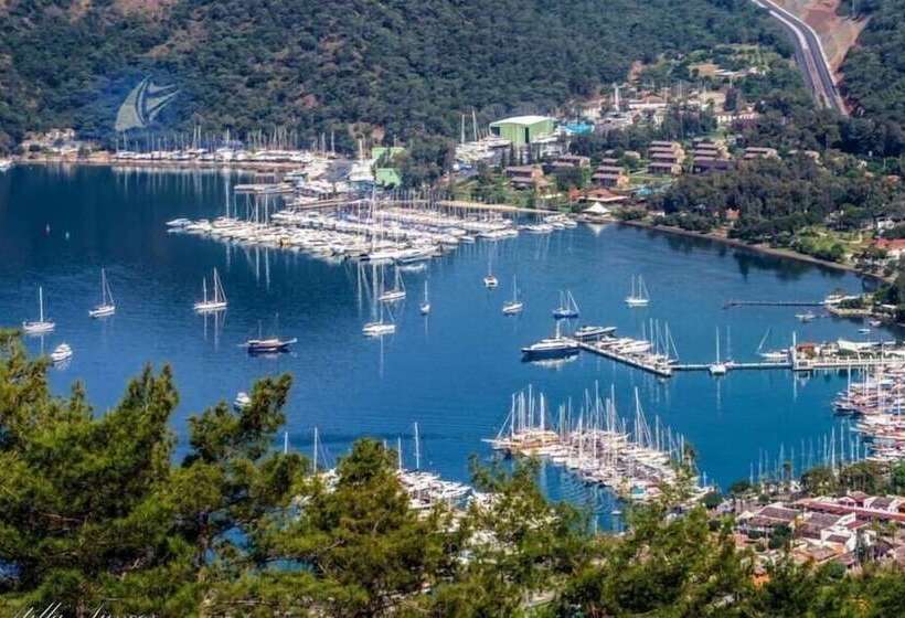 膳宿费 Mandarin Guesthouse   Adult Only