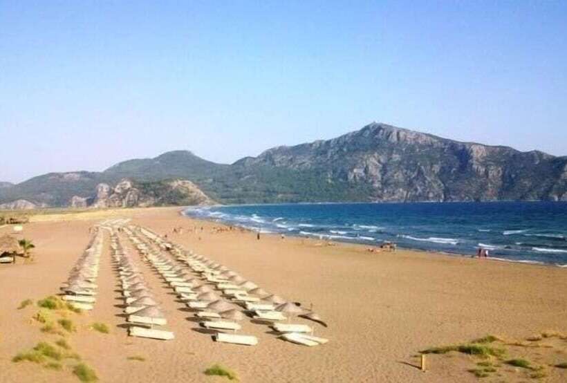 膳宿费 Mandarin Guesthouse   Adult Only