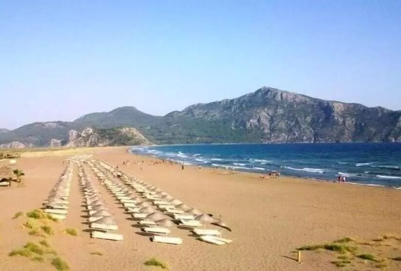 پانسیون Mandarin Guesthouse   Adult Only