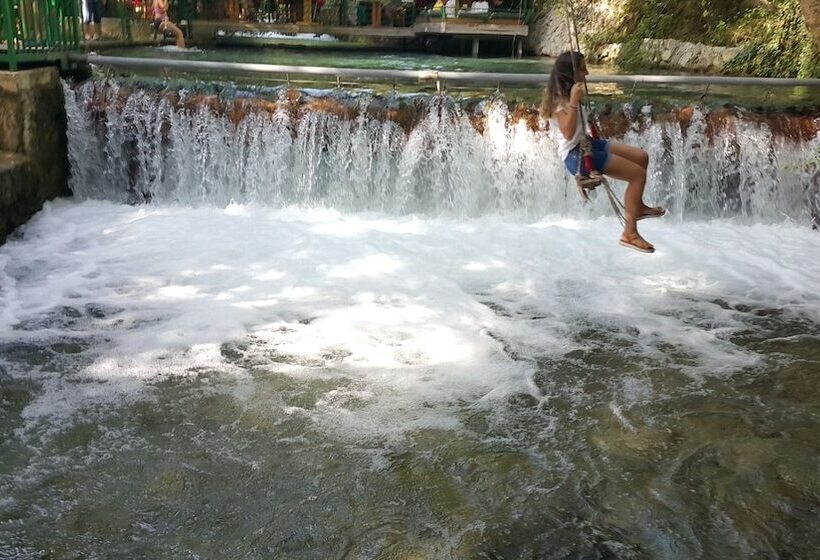 膳宿费 Mandarin Guesthouse   Adult Only