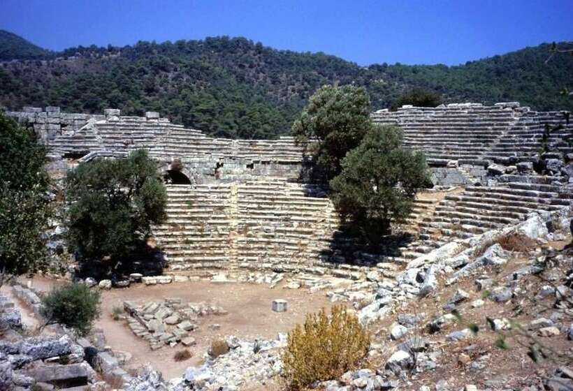 膳宿费 Mandarin Guesthouse   Adult Only