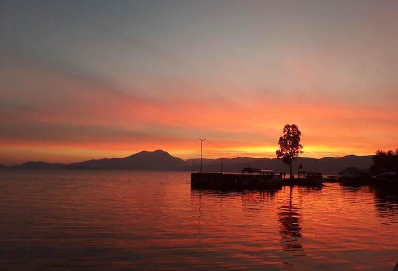 膳宿费 Mandarin Guesthouse   Adult Only