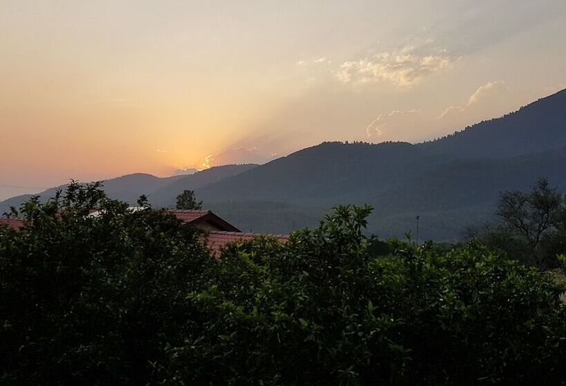 膳宿费 Mandarin Guesthouse   Adult Only