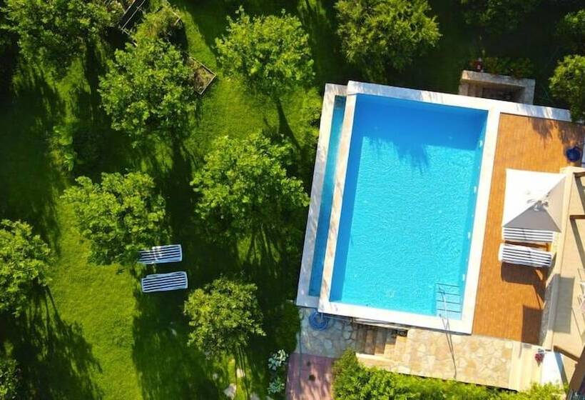 膳宿费 Mandarin Guesthouse   Adult Only