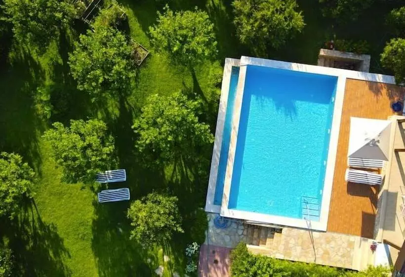 پانسیون Mandarin Guesthouse   Adult Only