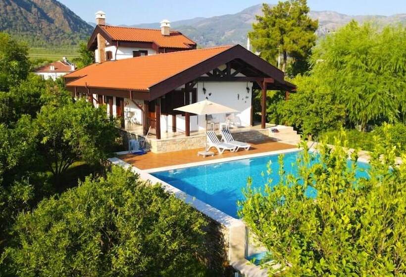 膳宿费 Mandarin Guesthouse   Adult Only