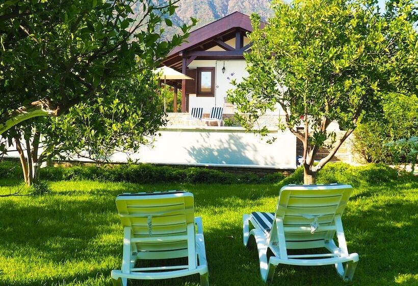 膳宿费 Mandarin Guesthouse   Adult Only