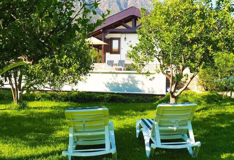 پانسیون Mandarin Guesthouse   Adult Only