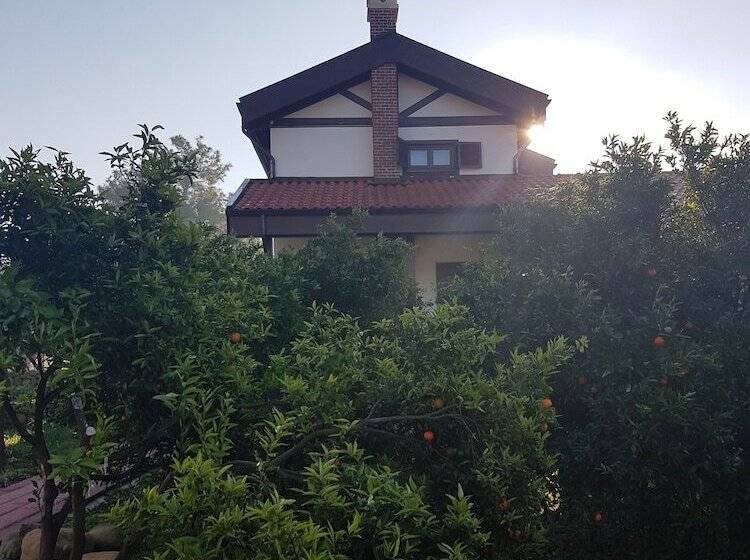 膳宿费 Mandarin Guesthouse   Adult Only