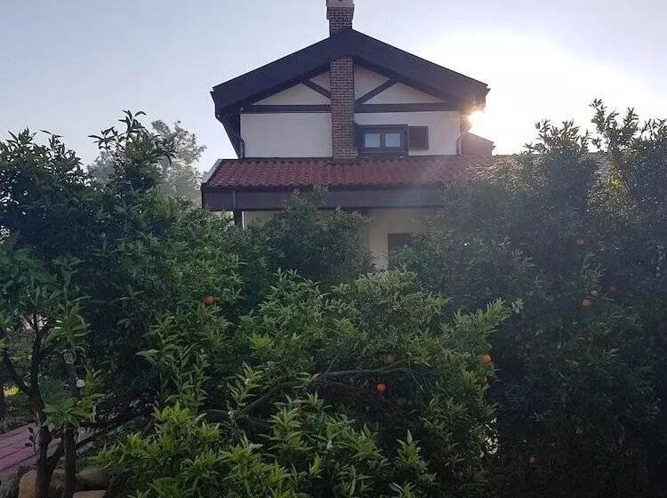 پانسیون Mandarin Guesthouse   Adult Only