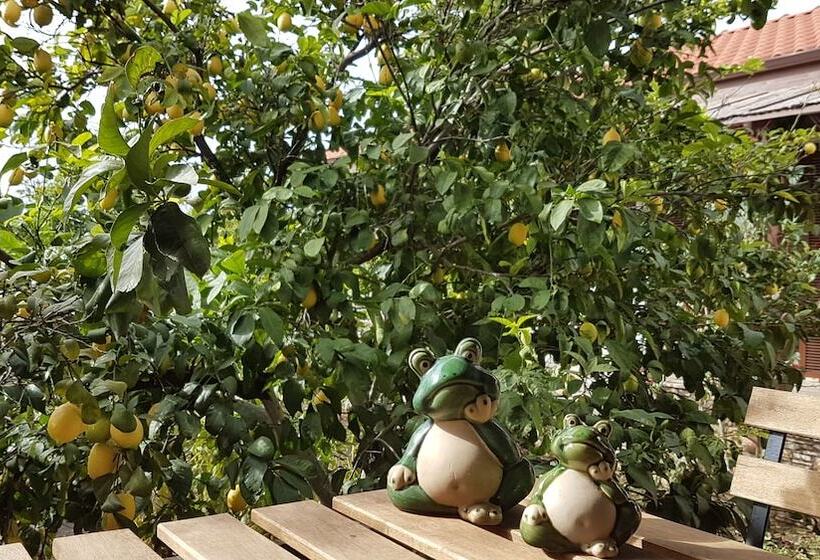 膳宿费 Mandarin Guesthouse   Adult Only