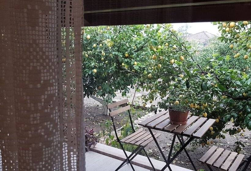 膳宿费 Mandarin Guesthouse   Adult Only