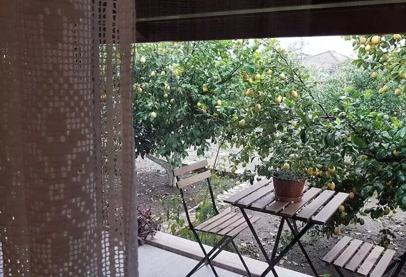 پانسیون Mandarin Guesthouse   Adult Only