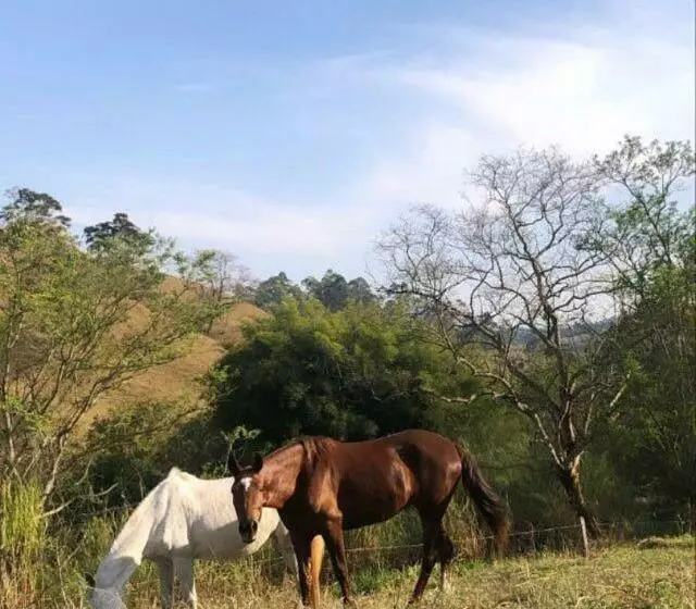 Majatalo Pousada água Limpa