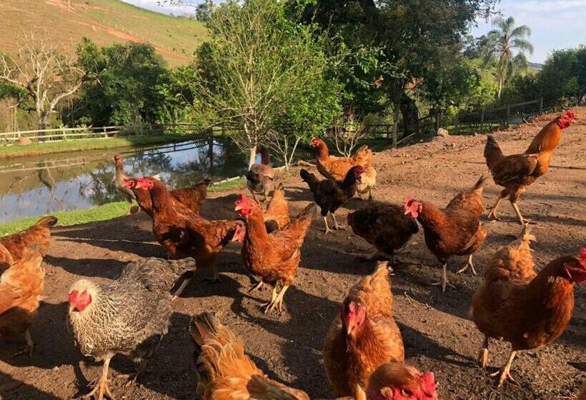 Пансион Pousada água Limpa