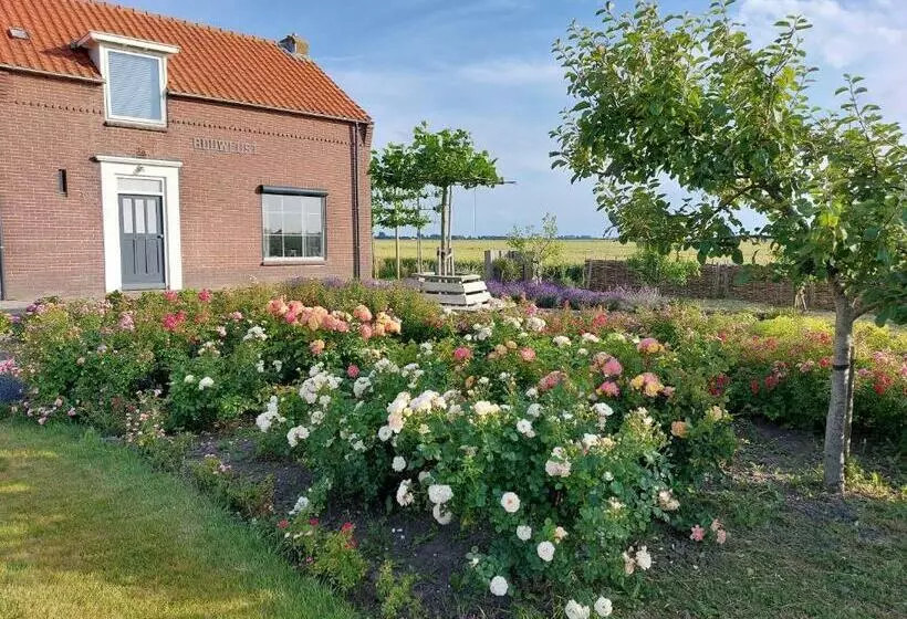 B&b Bouwmanshoeve
