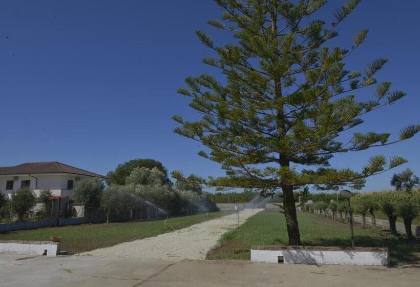 住宿加早餐  Villa Theresa