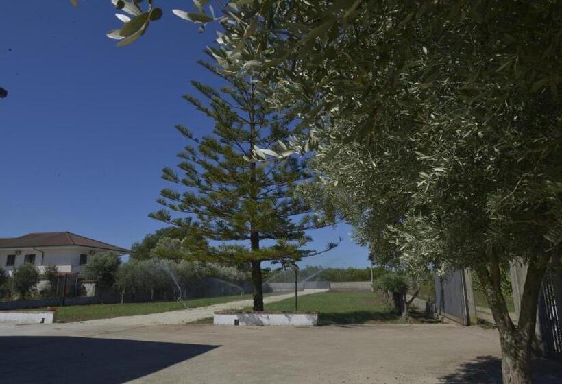 住宿加早餐  Villa Theresa