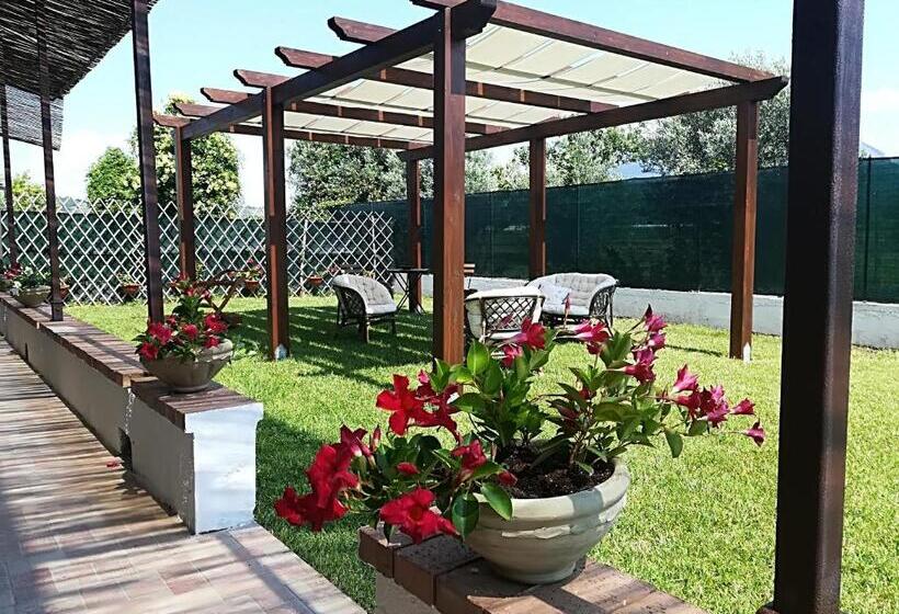 住宿加早餐  Villa Theresa