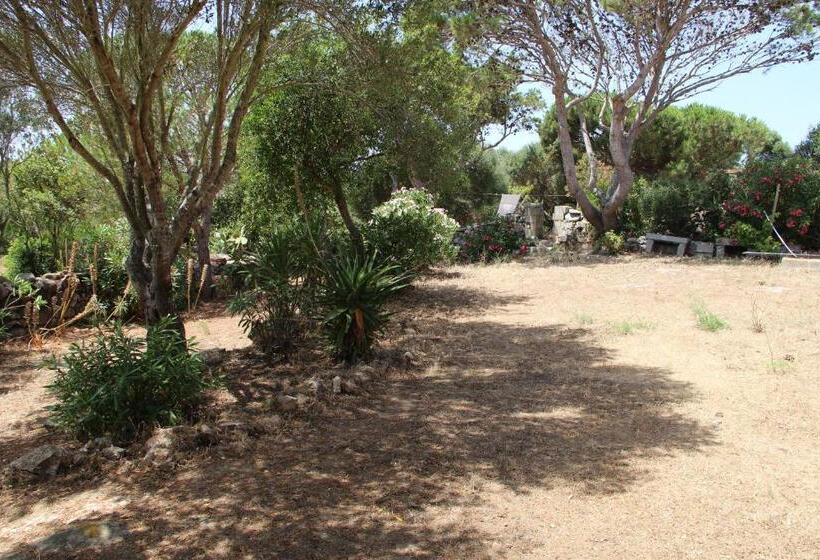 צימר Le 25 Tartarughe