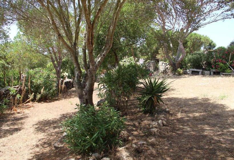 צימר Le 25 Tartarughe