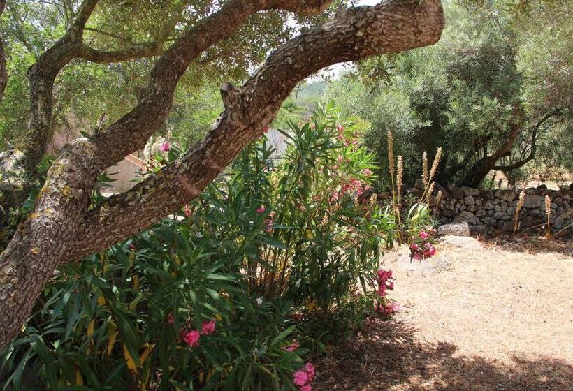 צימר Le 25 Tartarughe