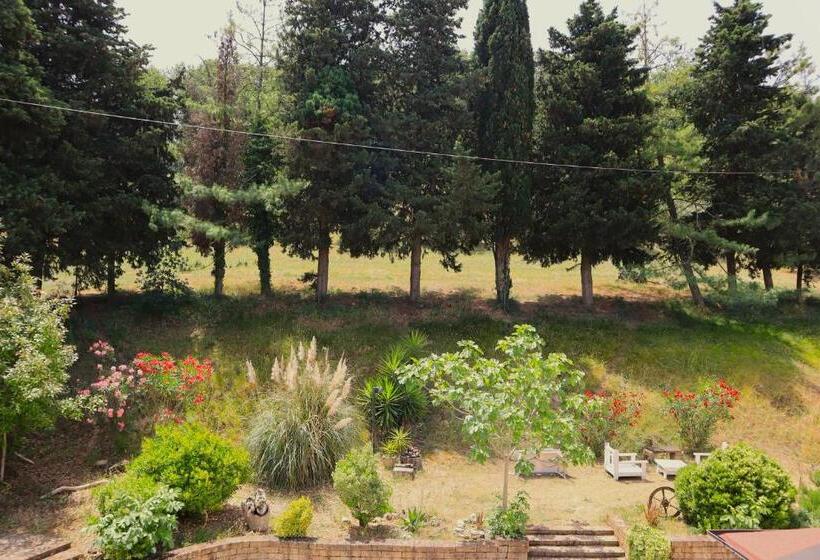 민박 Tierra Cristiana