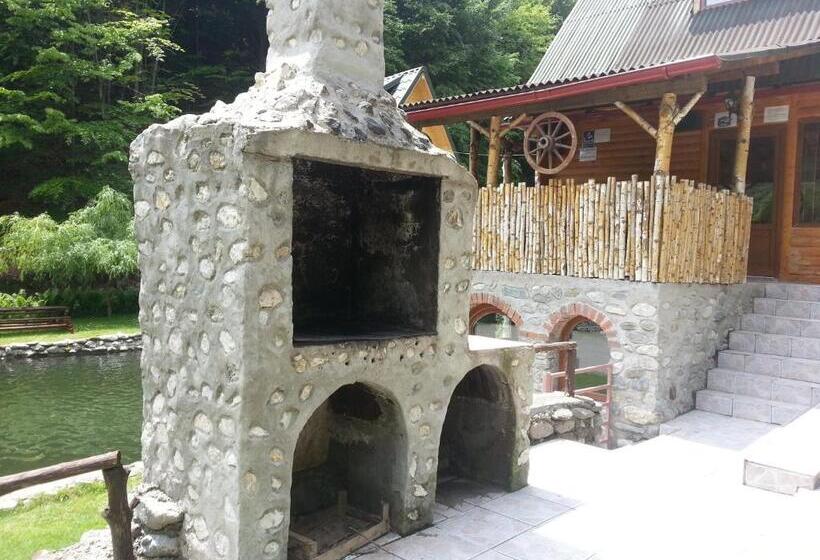 リゾートホテル Pastravaria Romani