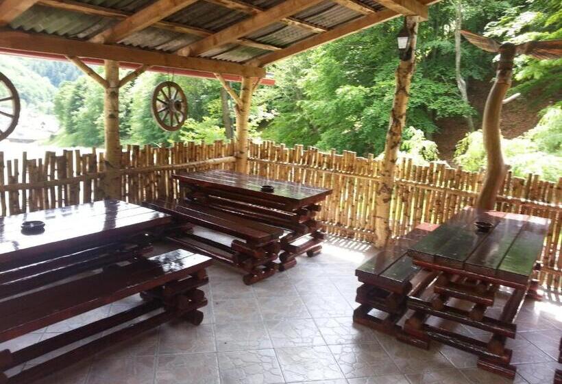 リゾートホテル Pastravaria Romani